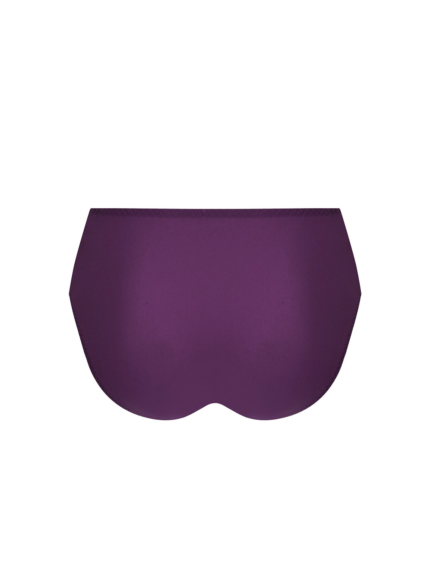 Antigel-Atelier séduction slip taille haute prune magic
