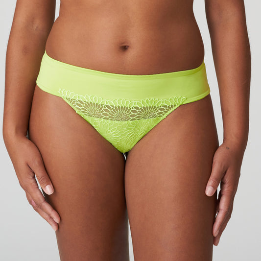 Primadonna-Sophora string lime crush